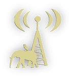 ham radio software and hardware at hosenose.com